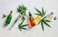 The Therapeutic Potential Of CBD Oil For Pain Management