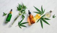 The Therapeutic Potential Of CBD Oil For Pain Management